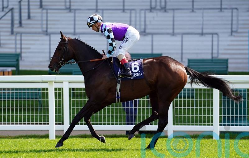 El Habeeb connections have reason for cautious optimism in Gold Cup