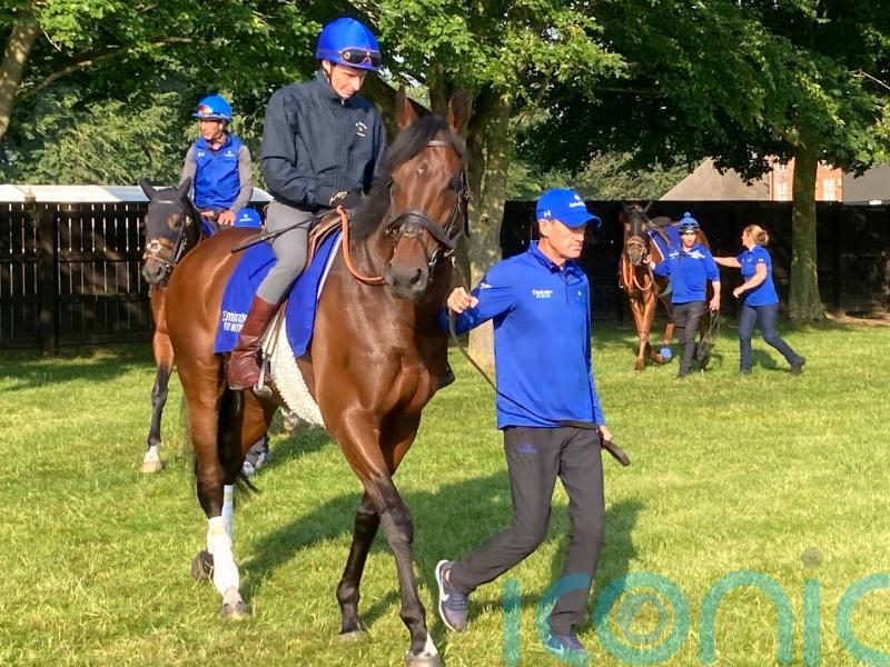 Adayar raring to go in search of Prince of Wales&rsquo;s Stakes gold