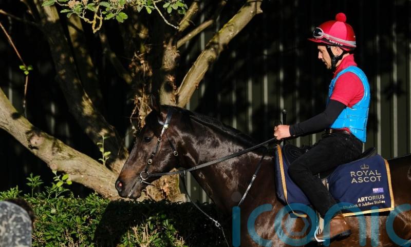 Jubilee challenger Artorius delighting Freedman in Ascot prep