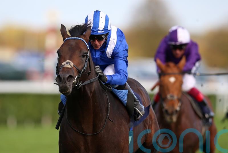 Grand day out in prospect for Israr at York