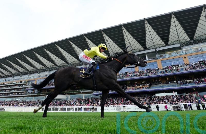 Royal Champion victory one to savour for Jack Mitchell