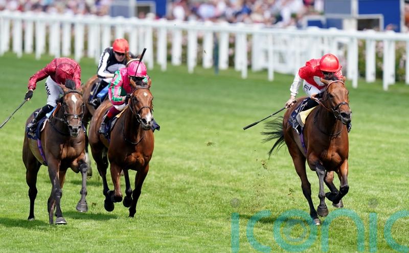 Rogue Millennium stars in Duke of Cambridge success