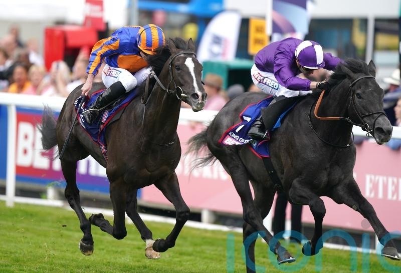 King Of Steel seeking Royal Ascot compensation