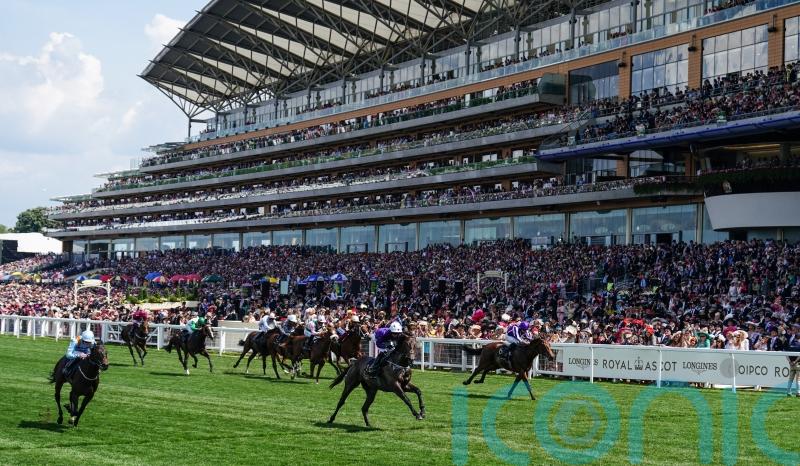 Breeders&rsquo; Cup the ultimate goal for Valiant Force