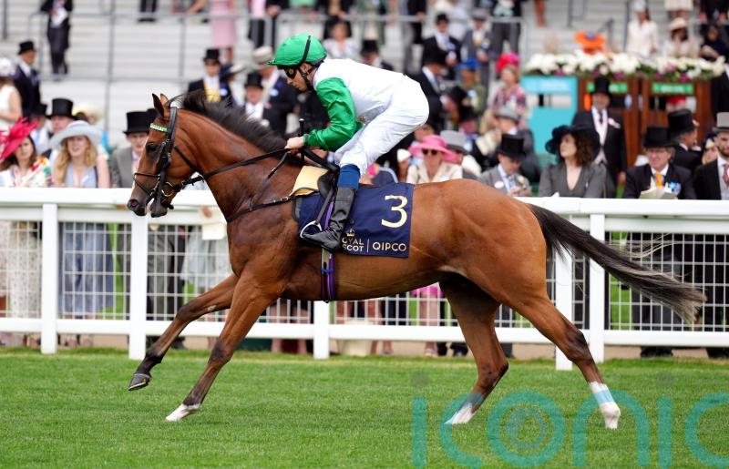 Promising juvenile Asadna makes Alice Haynes switch