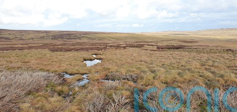 MEPs &lsquo;have to make up mind quickly&rsquo; on key EU environmental law, says Ryan