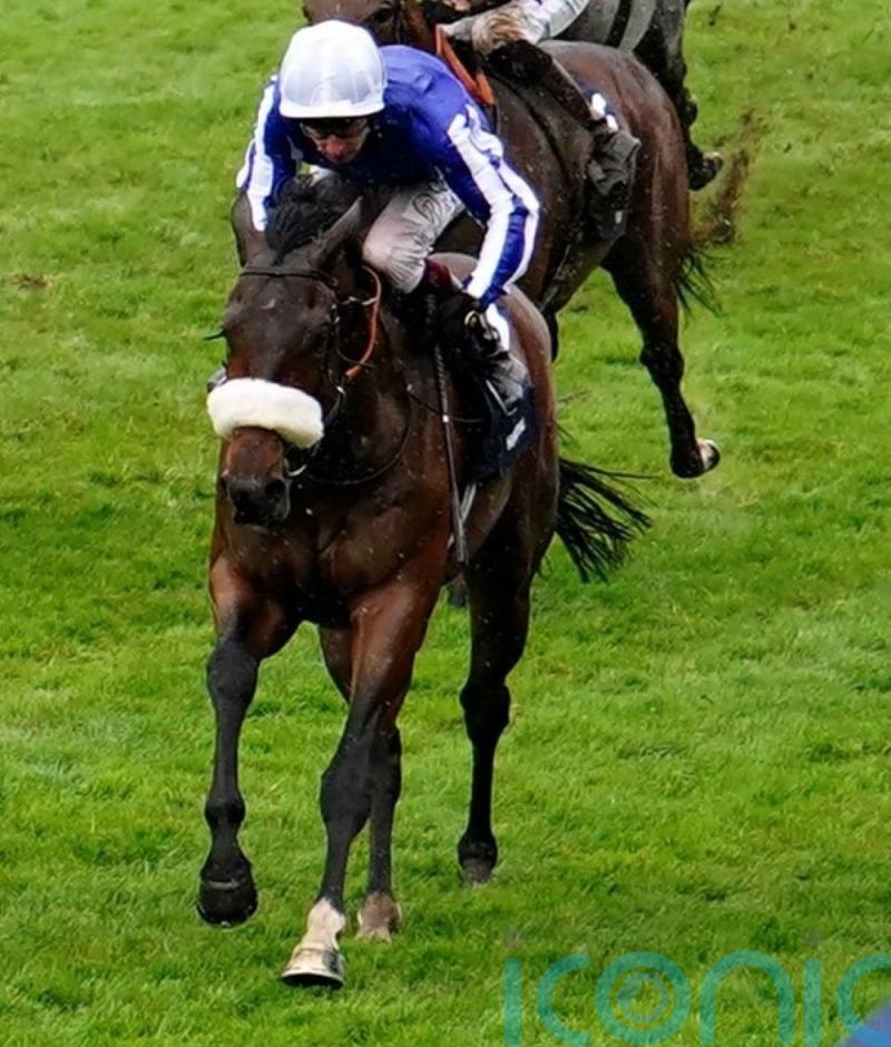 Hi Royal ready to renew Paddington rivalry