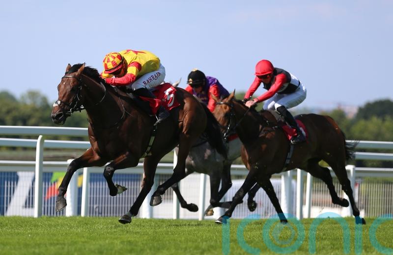 Savvy Victory is a sweet one for Sean Woods