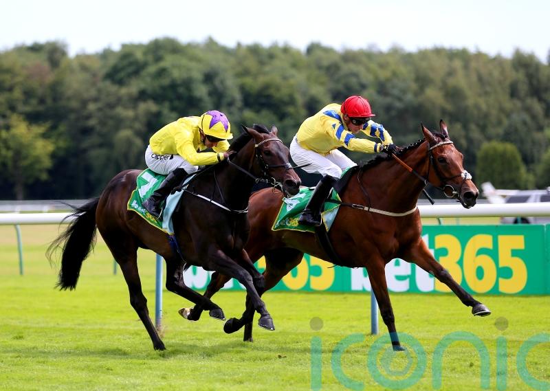 Poptronic digs deep to take Lancashire Oaks crown