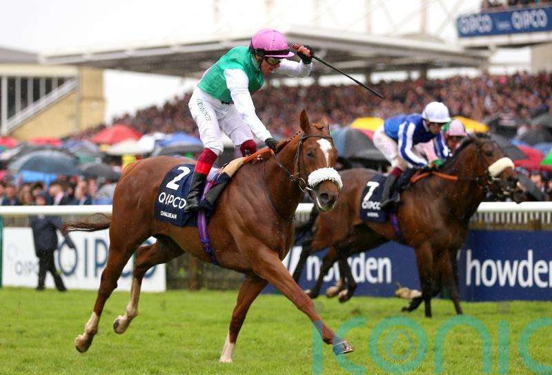 Chaldean to have thorough overhaul after Deauville disappointment