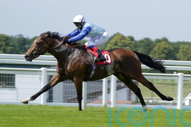 Sonny Liston challenging for big York handicap prize