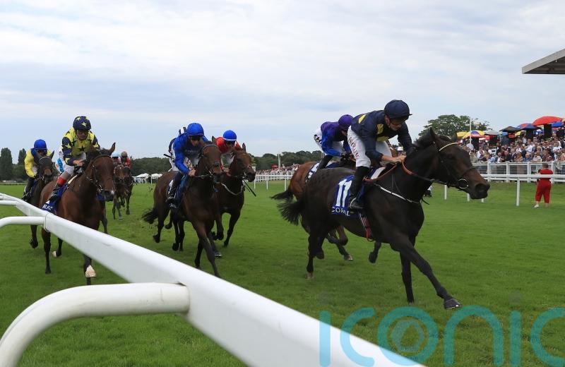 International goals on the horizon for Stenton Glider