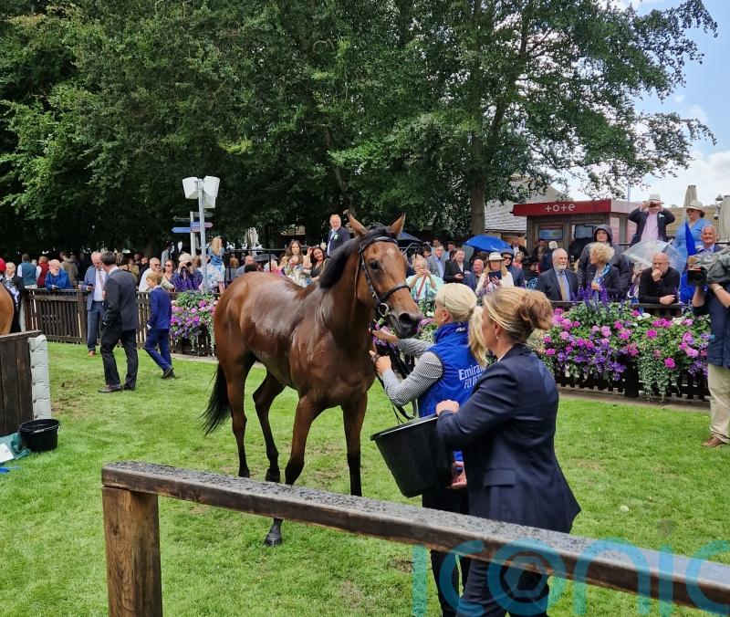 Race The Wind makes no mistake at second time of asking