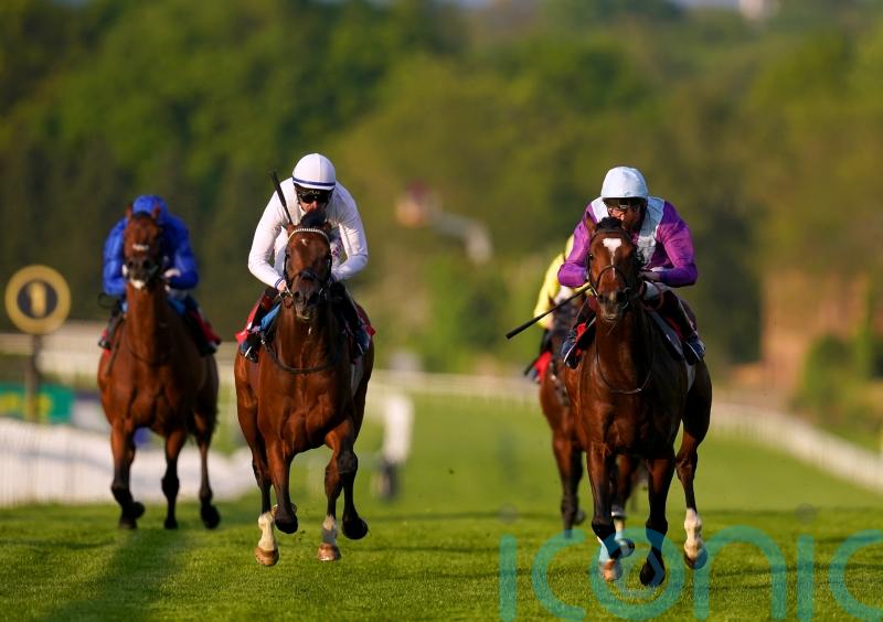 Artistic Star to test Leger claims at Goodwood