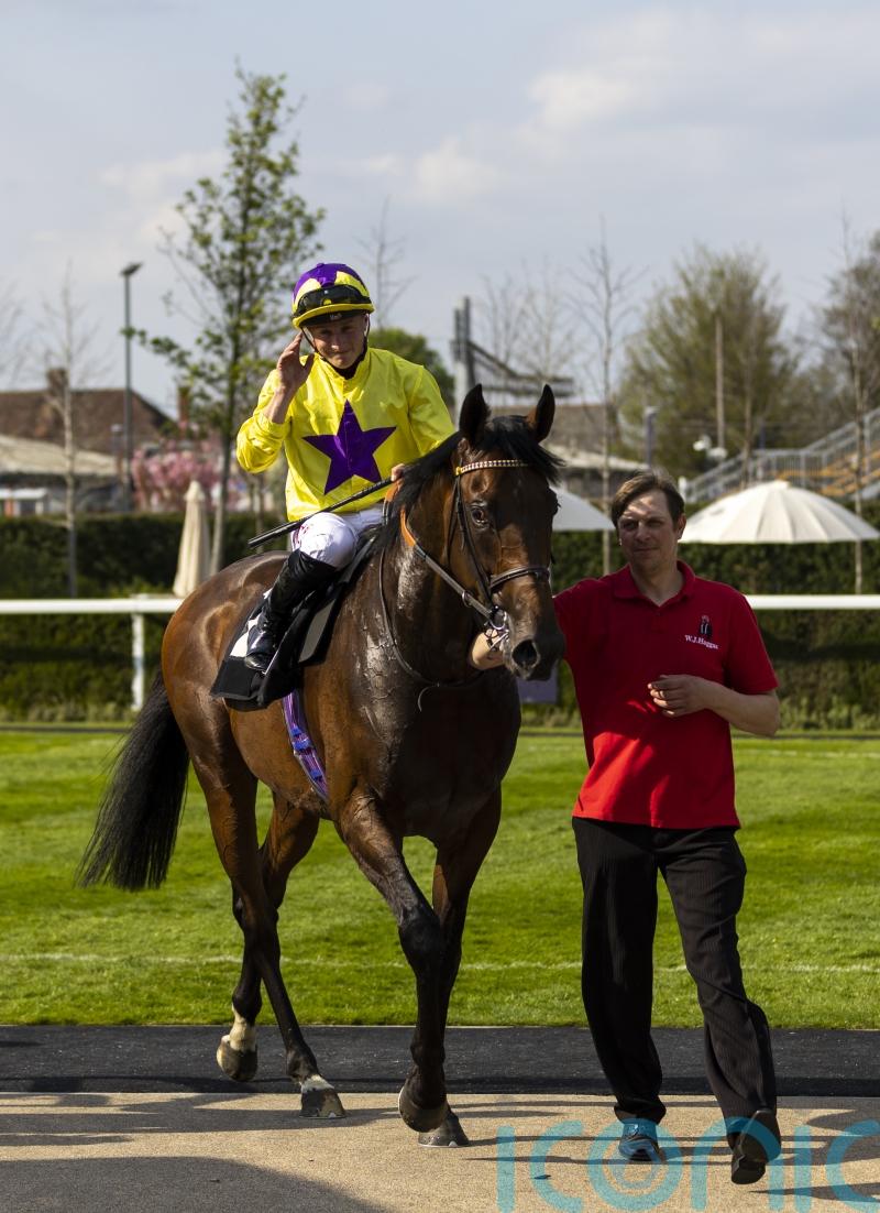 My Prospero set to drop in class for York Stakes outing