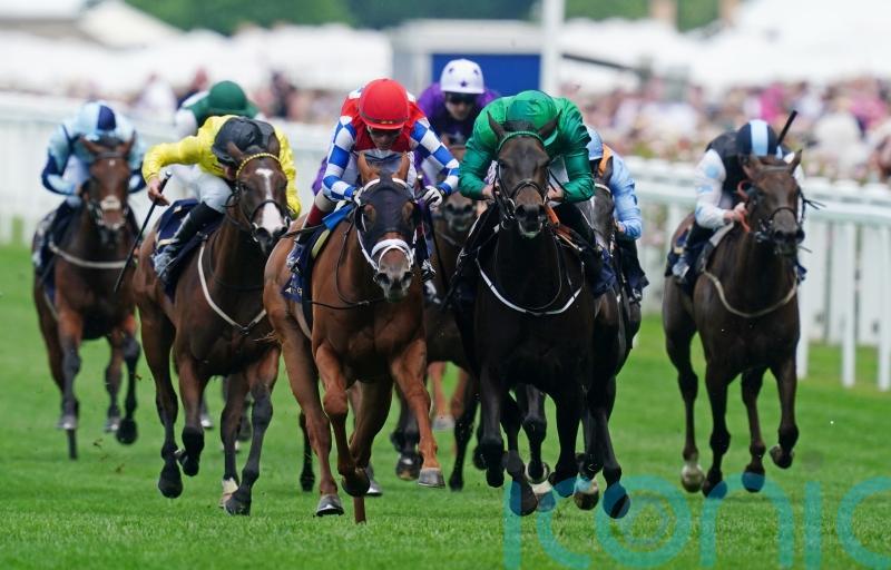 Haggas looking for third Super Sprint success with Relief Rally