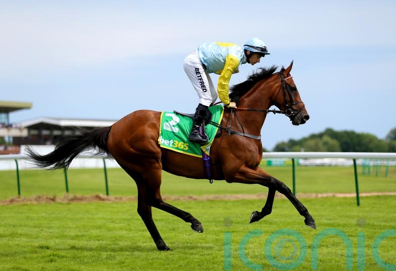 Casati team saddling up for Goodwood glory