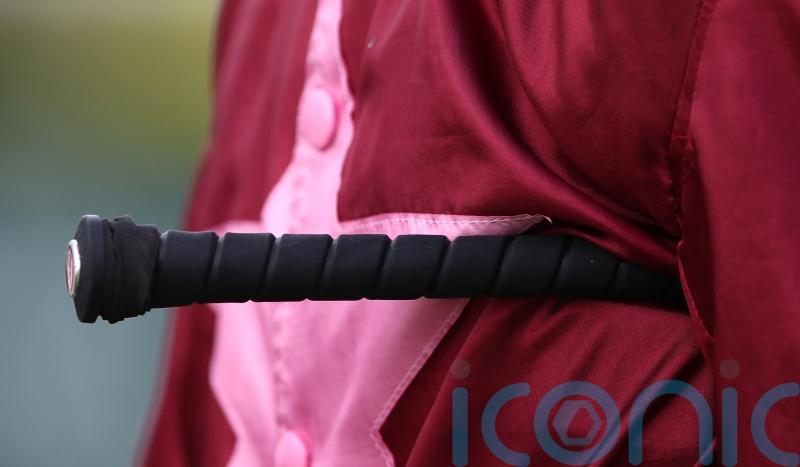 Whip rules tweaked once more by BHA