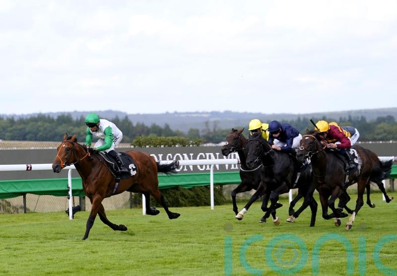 Haatem delivers Vintage victory for Hannon