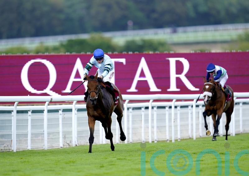 Quickthorn makes all for remarkable Goodwood Cup success