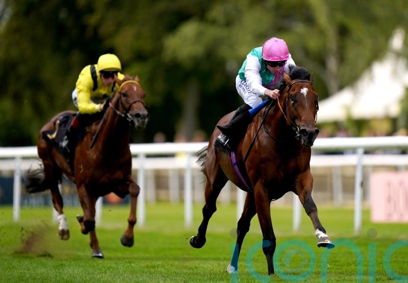 Nostrum taking Baaeed route in Thoroughbred Stakes