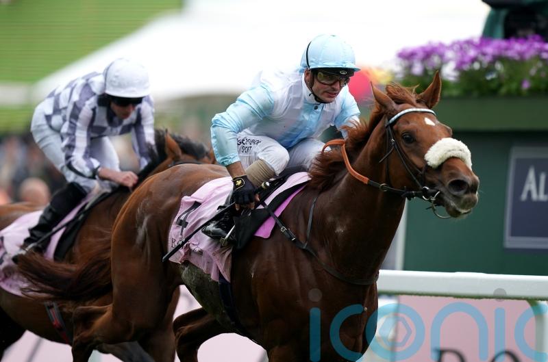 Lonsdale Cup next consideration for Giavellotto