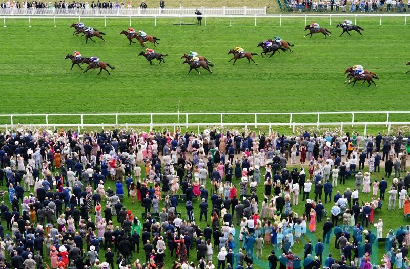 Newmarket target for Watch My Tracer