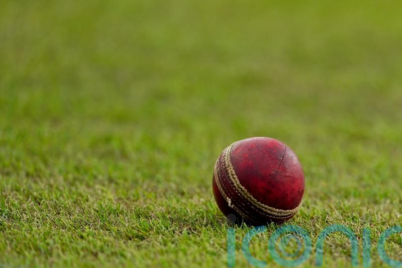Man charged over alleged racial abuse at cricket match