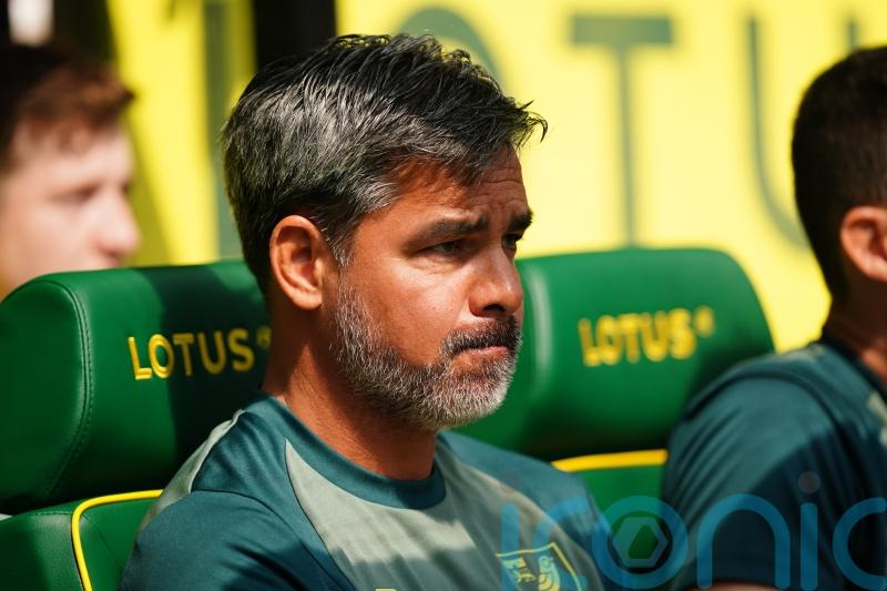 David Wagner encouraged by Norwich&rsquo;s start to the season