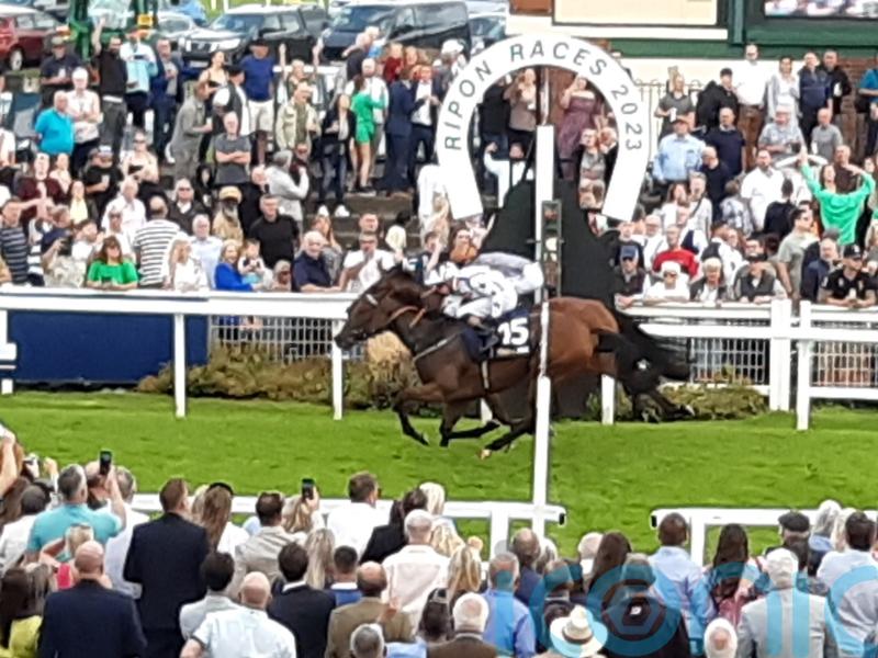 Sophia&rsquo;s Starlight connections happy to see filly fulfilling her promise