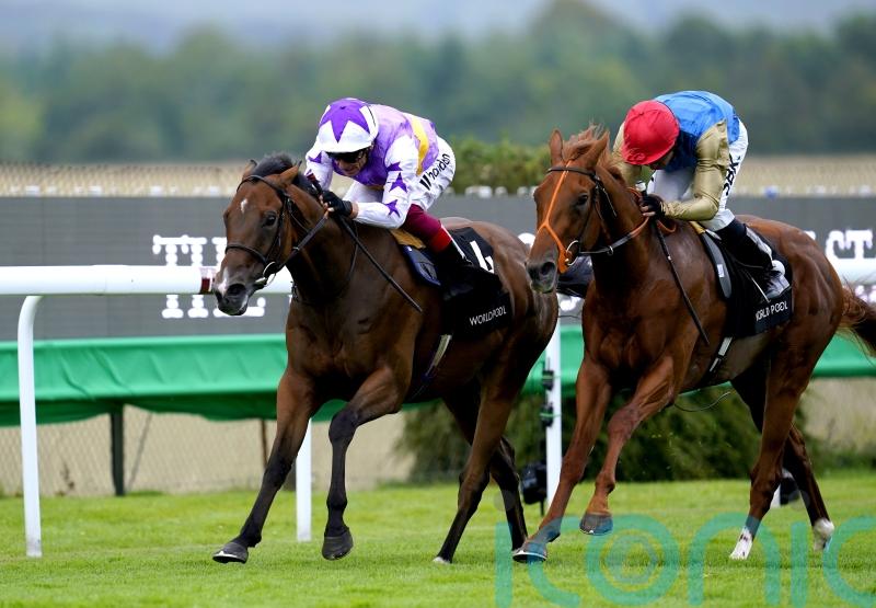 Kinross in line to defend City of York crown on Saturday