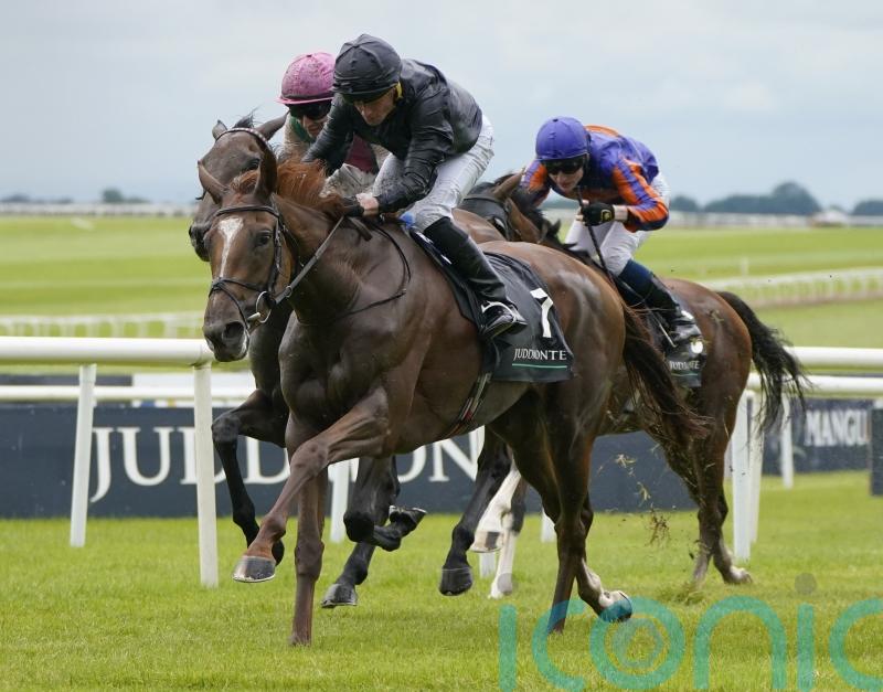 Savethelastdance and Bluestocking primed for Yorkshire Oaks clash