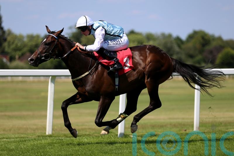 Kylian carrying plenty of confidence in Gimcrack bid