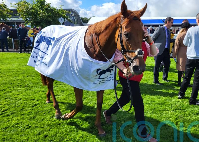 Ocean&rsquo;s quest proves successful at Naas