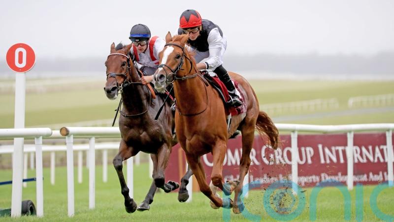 So far so good for return to action of Kyprios in Irish Leger