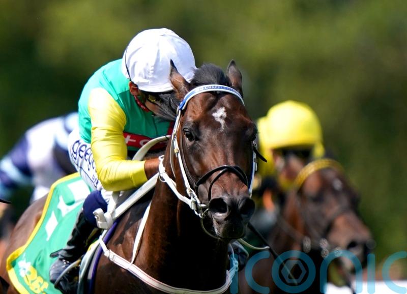 Champions Day option for speedy Mill Stream