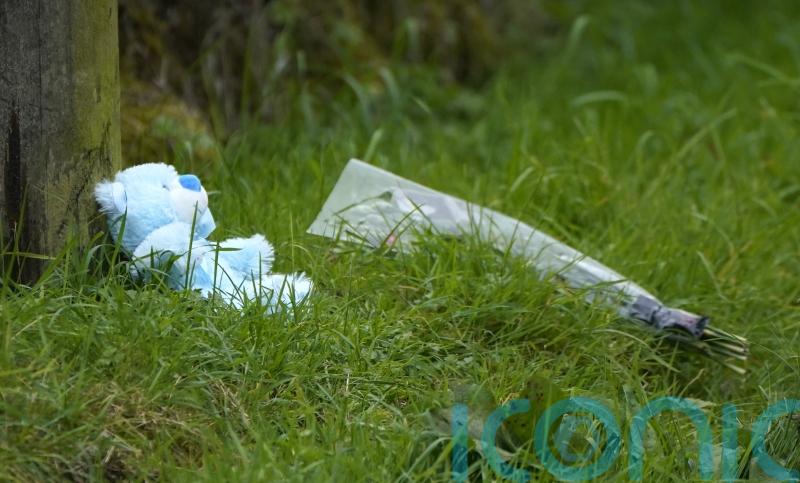 Family left &lsquo;devastated&rsquo; after boy and grandparents killed in Co Tipperary crash