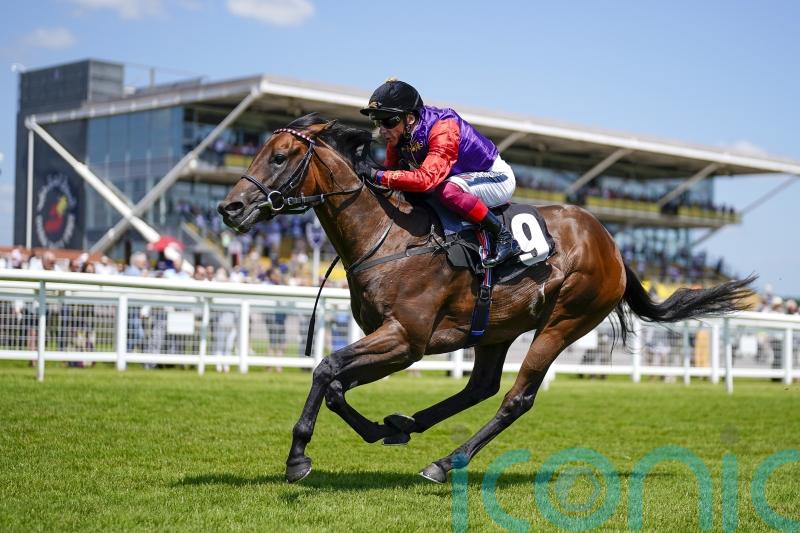 Snowden excited to have Reach For The Moon to go jumping