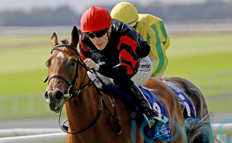 Vespertilio takes another shot at Ylang Ylang