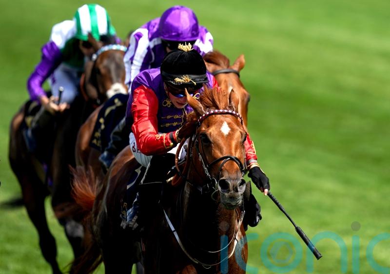 Marquand: Desert Hero ticks all the boxes for Leger challenge