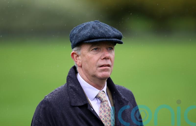 Darnation carrying hopes of another high-level victory for Burke