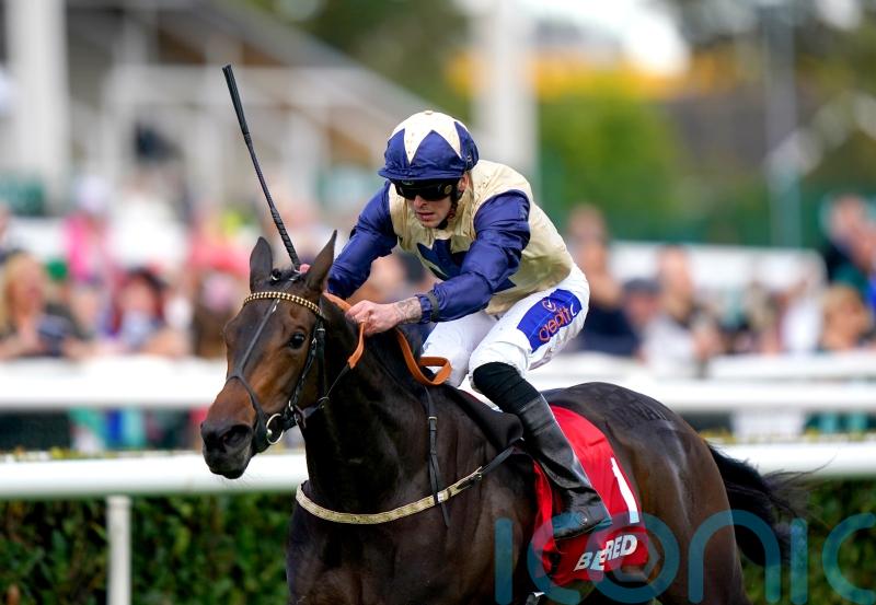 Darnation too good for May Hill rivals