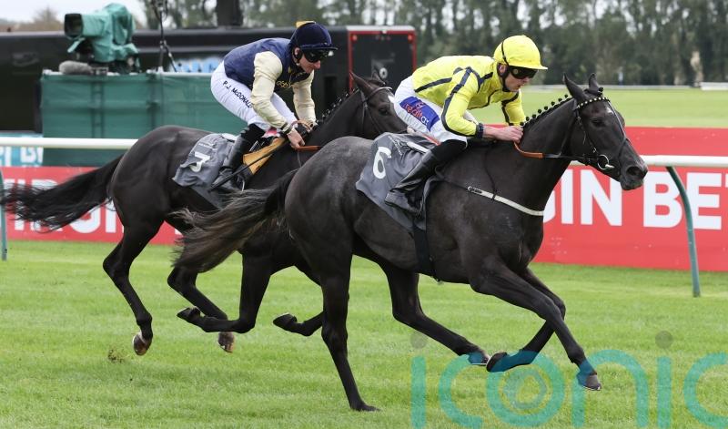 Diamond sparkles with Listed victory at Ayr