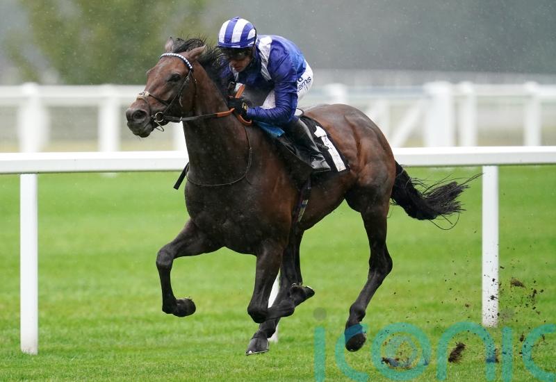 Hukum hopes dealt a blow with unfavourable wide draw in Arc