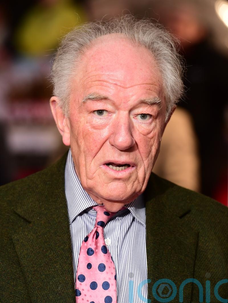 Sir Michael Gambon was a titan of the stage and film