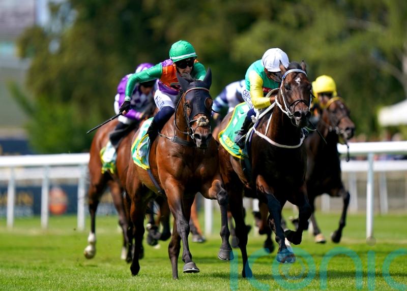 &lsquo;Absolutely brilliant&rsquo; Quinault heading for Ascot Challenge