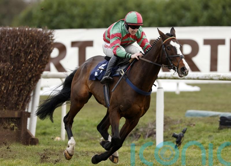 Old Roan looks to be on the cards for Tommy&rsquo;s Oscar