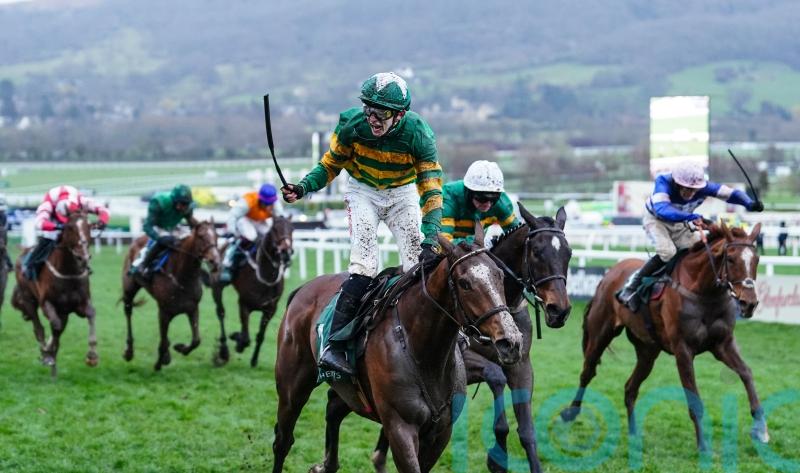 A Dream To Share all set for jumping bow at Punchestown