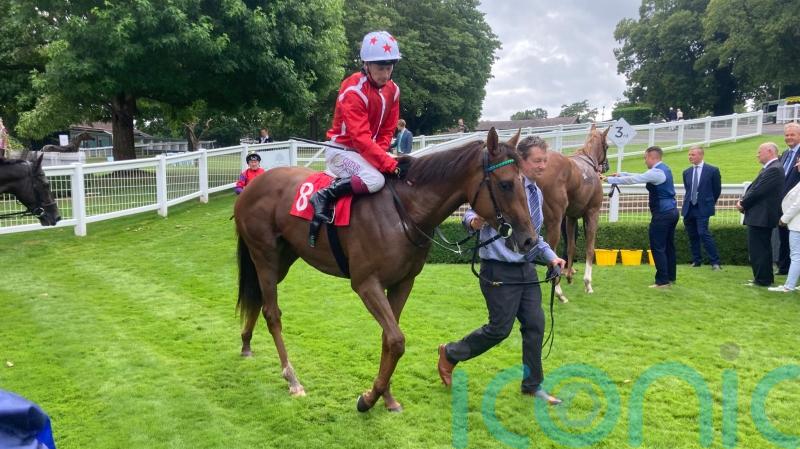 Shuwari takes Group One test for Sangster