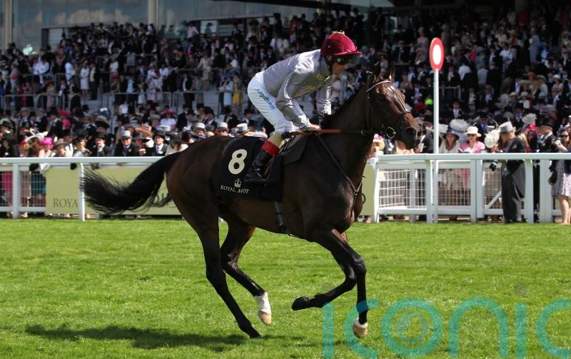 Doha makes striking impression at Windsor